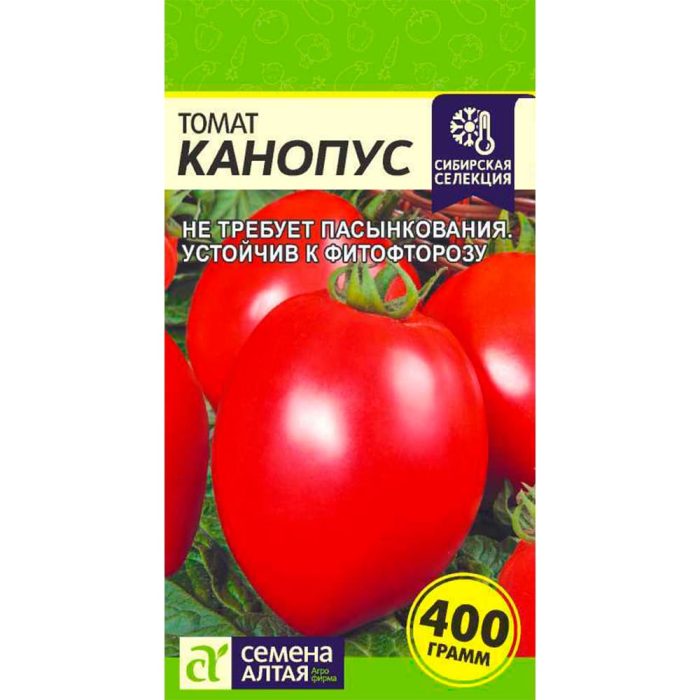 Kanopo