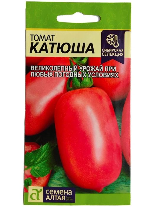 Katyusha