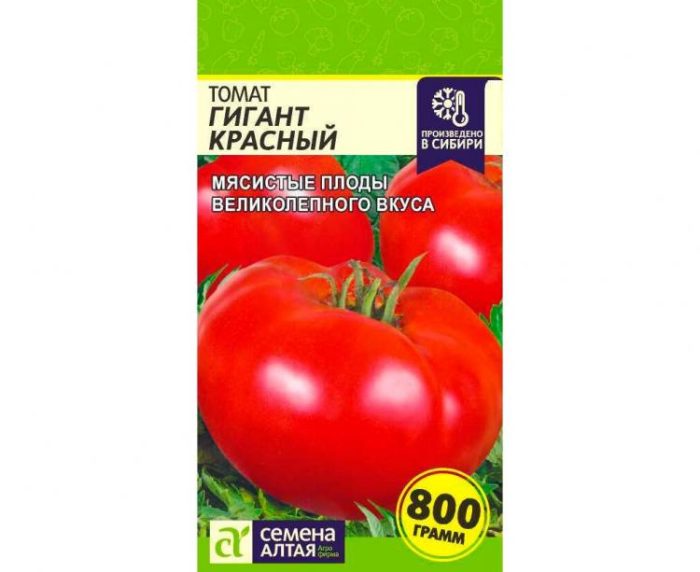 Higanteng Pula