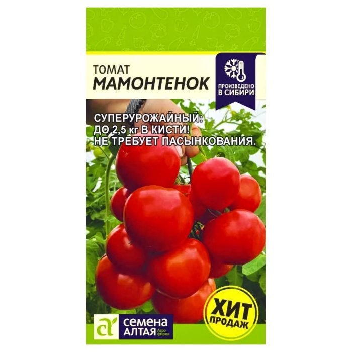 Sanggol na Mammoth