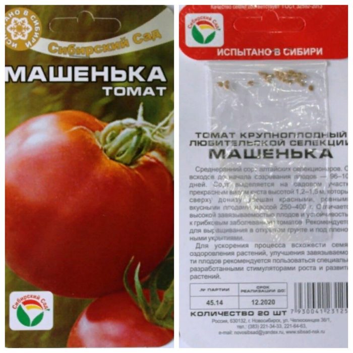 Mashenka