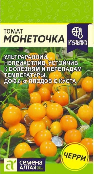 Monetochka