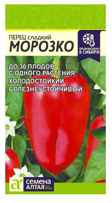 Hamog na nagyelo