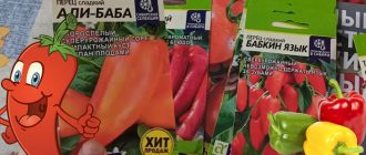 Mga buto ng sili mula sa kumpanya ng agrikultura ng Semena Altaya