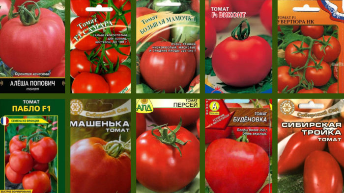 Mga uri ng kamatis para sa rehiyon ng Moscow