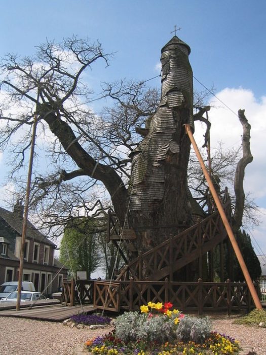 Kapilya ng Oak