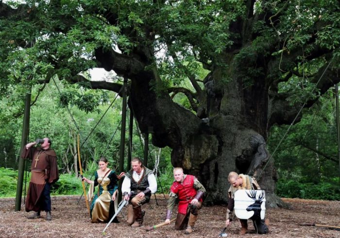 Sherwood Forest Oak